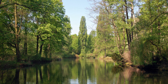 Waldsee malen Lernen