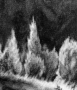 Bäume Malen Kunstschule