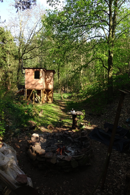 Wald Harz Kunstschule