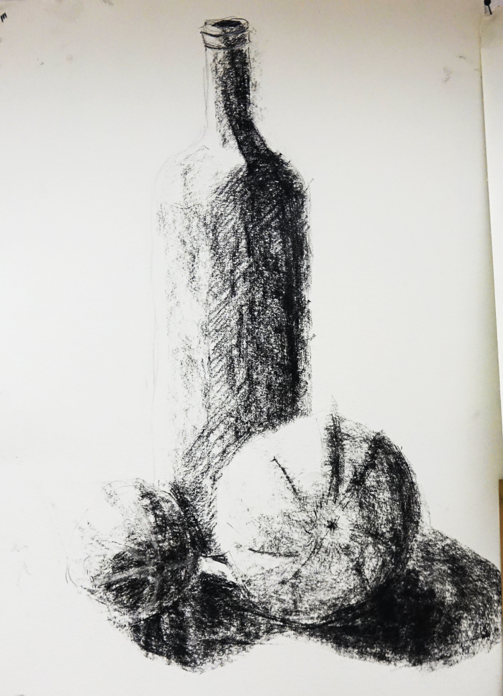 erw_2018_Stilleben_drawing_1 Stilleben im Licht